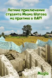 Летние приключения студента Ивана Шутова на практике в ФАП